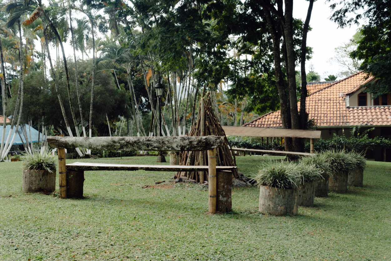 Zona de fogata