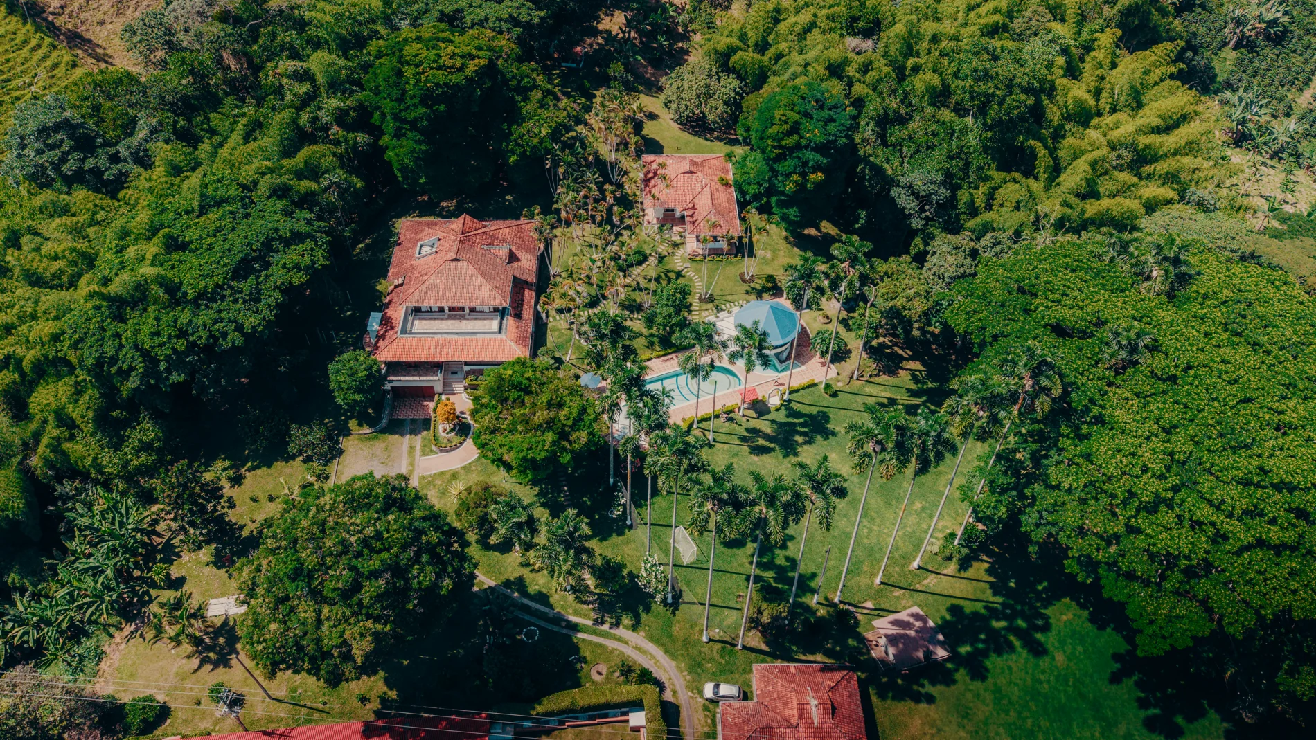 Piscina de la finca entre palmeras